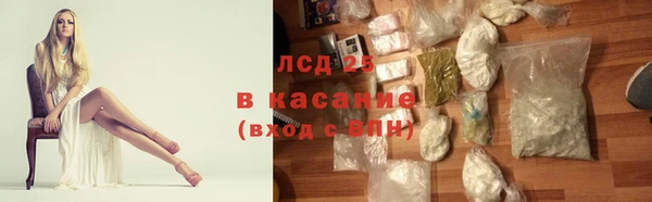 PSILOCYBIN Абаза