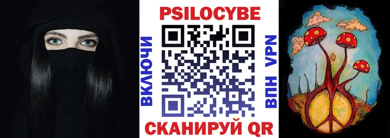 закладки  Исилькуль  Галлюциногенные грибы Psilocybine cubensis 